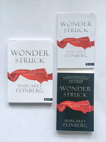 Wonderstruck DVD Bible Study Kit